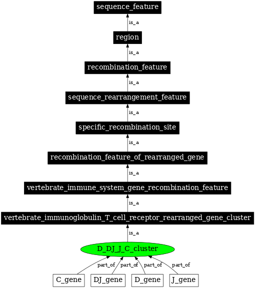 Graph image for SO:0000506