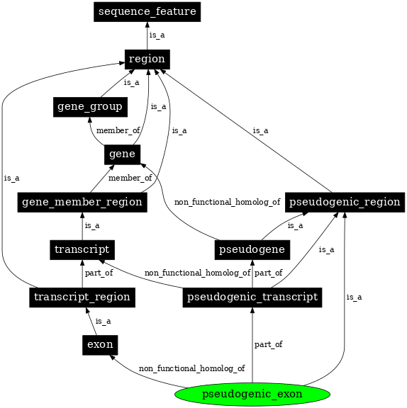 Graph image for SO:0000507