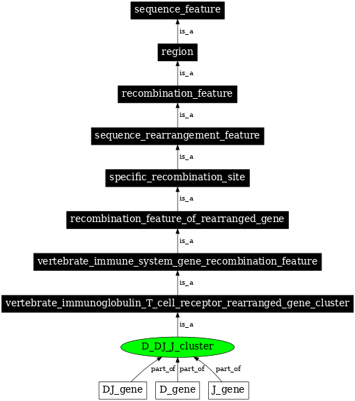 Graph image for SO:0000508