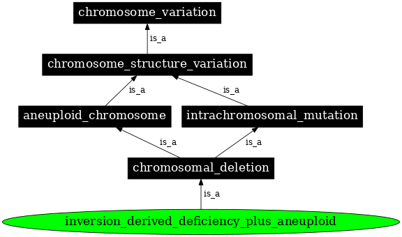 Graph image for SO:0000512