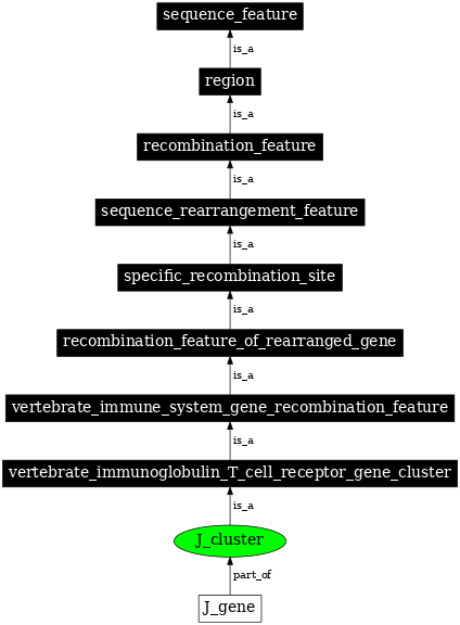 Graph image for SO:0000513