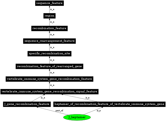 Graph image for SO:0000515
