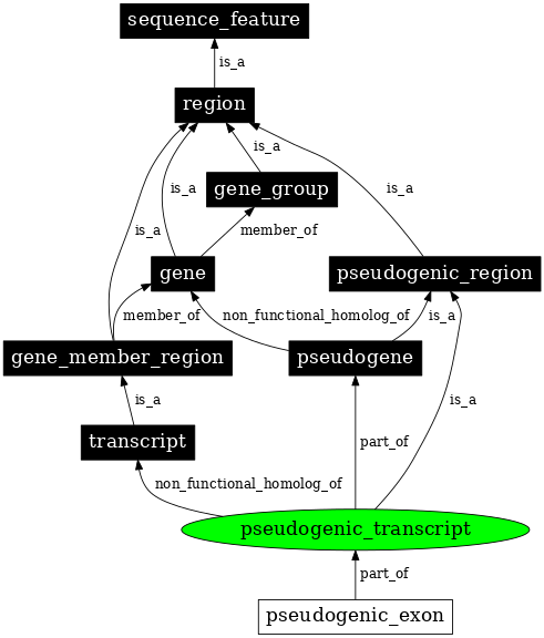 Graph image for SO:0000516