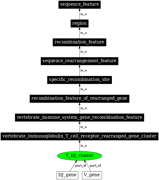 Graph image for SO:0000518