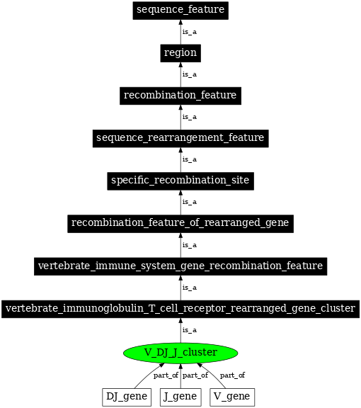 Graph image for SO:0000519