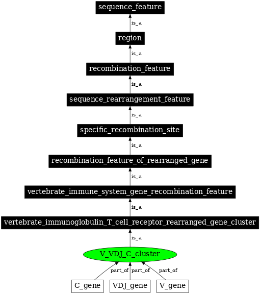 Graph image for SO:0000520