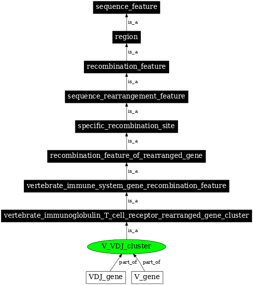 Graph image for SO:0000521