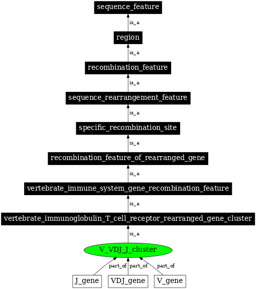 Graph image for SO:0000522