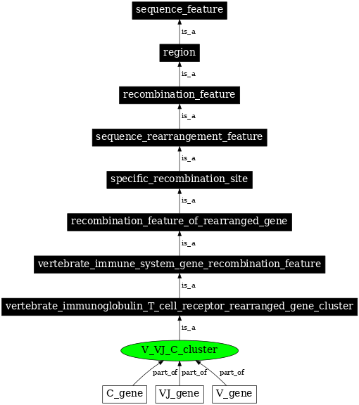 Graph image for SO:0000523