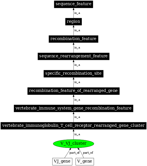 Graph image for SO:0000524