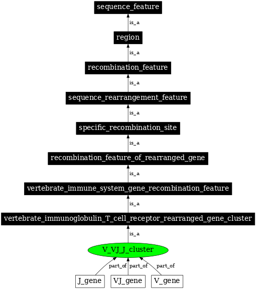 Graph image for SO:0000525
