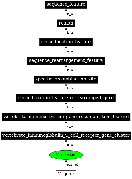 Graph image for SO:0000526