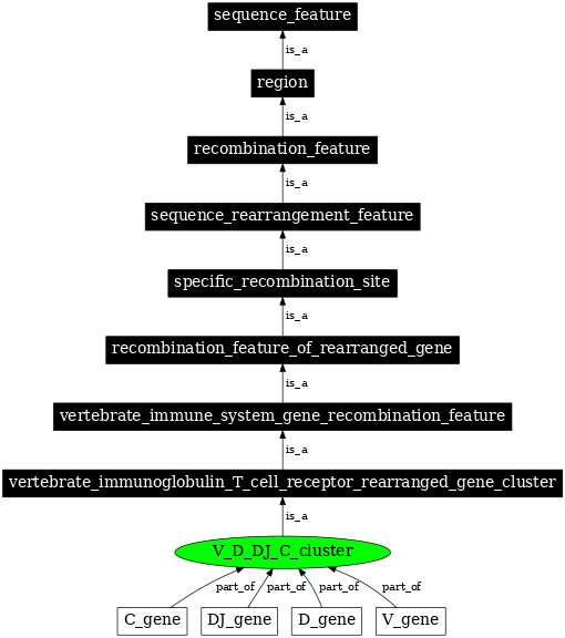 Graph image for SO:0000527