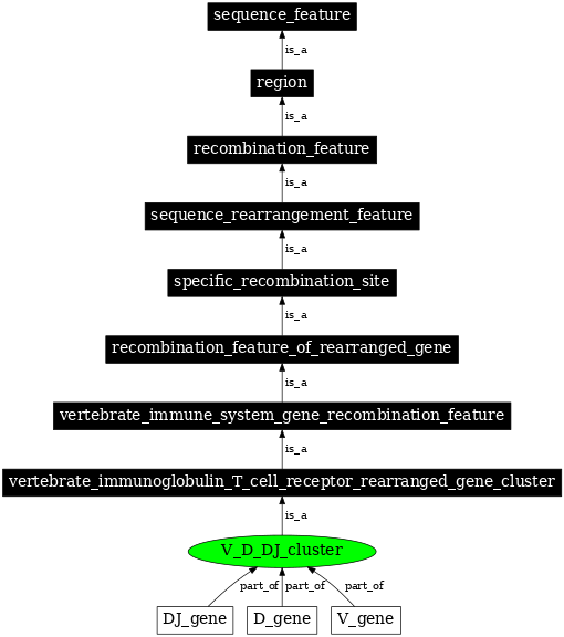 Graph image for SO:0000528
