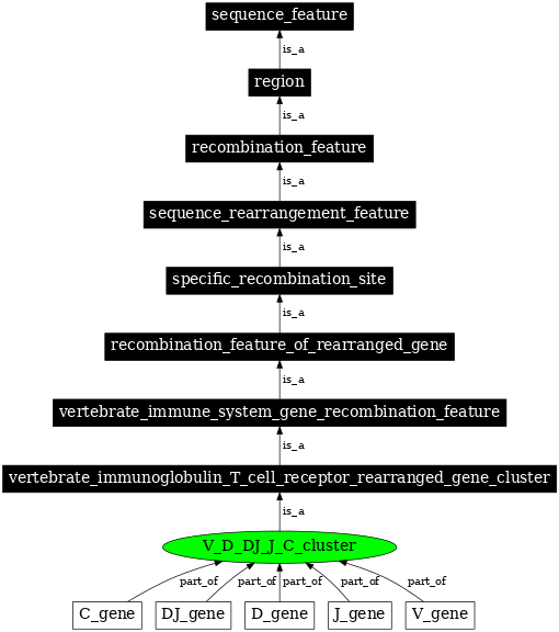 Graph image for SO:0000529