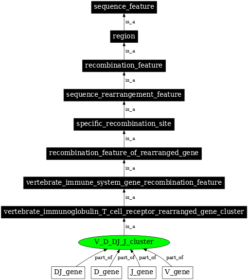 Graph image for SO:0000530