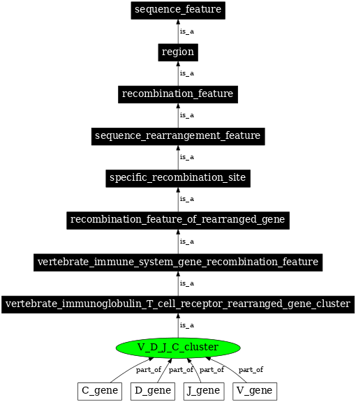 Graph image for SO:0000531