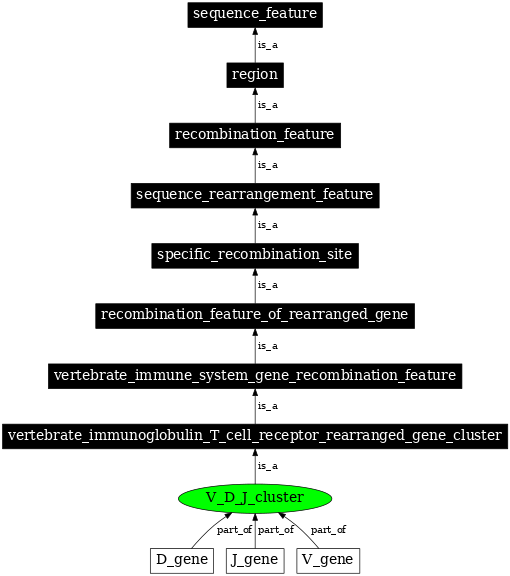 Graph image for SO:0000532