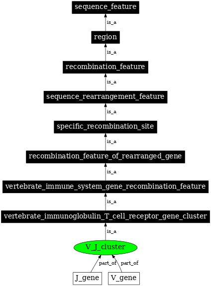 Graph image for SO:0000534