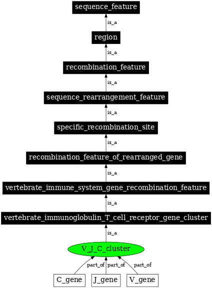 Graph image for SO:0000535