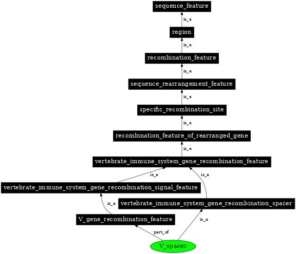 Graph image for SO:0000537