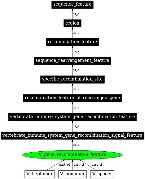 Graph image for SO:0000538