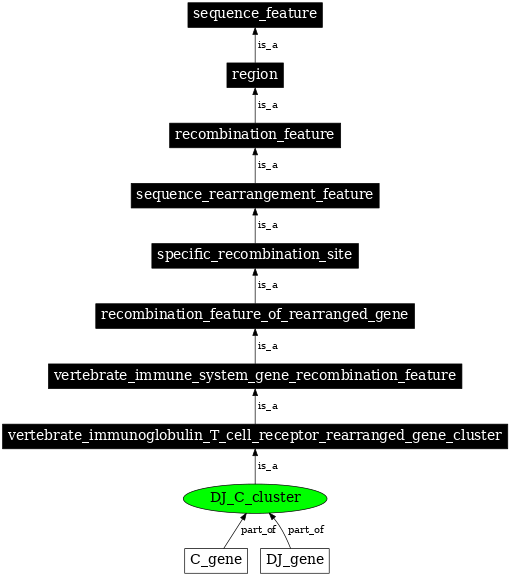 Graph image for SO:0000539