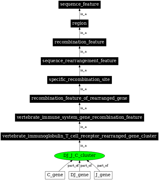 Graph image for SO:0000540