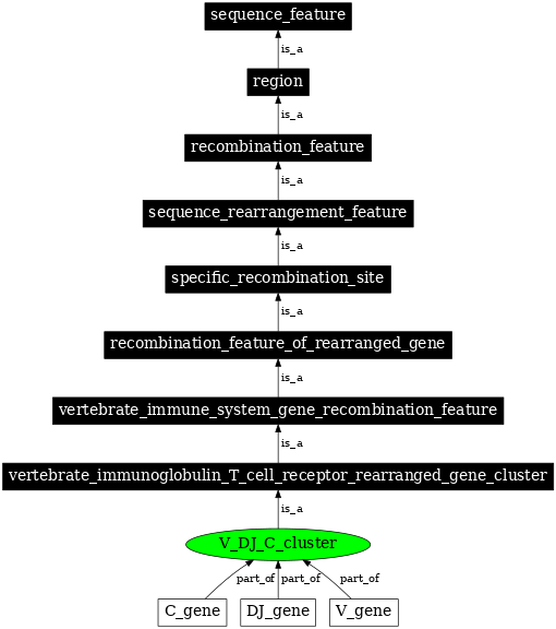 Graph image for SO:0000542