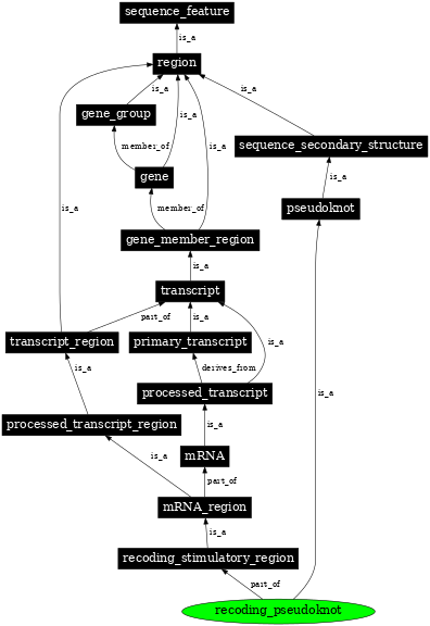 Graph image for SO:0000545