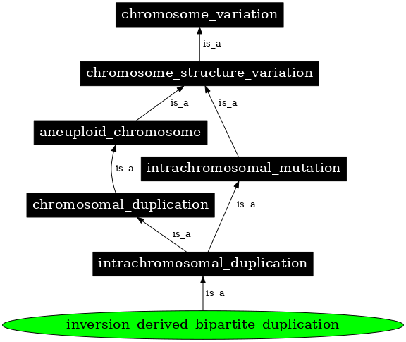 Graph image for SO:0000547