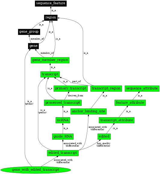 Graph image for SO:0000548