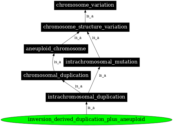Graph image for SO:0000549