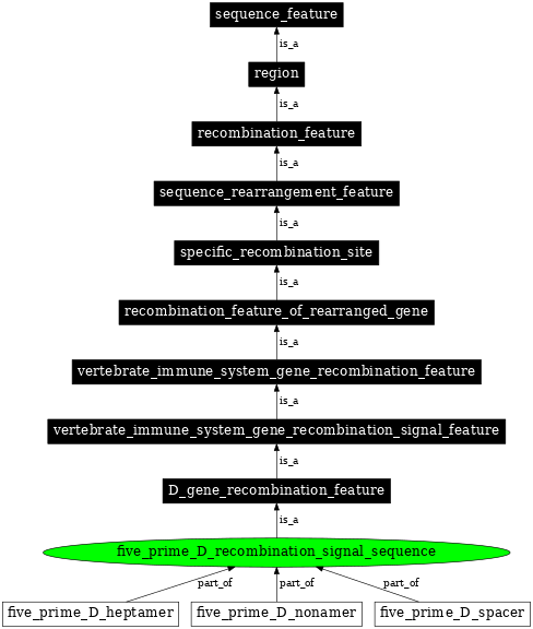 Graph image for SO:0000556