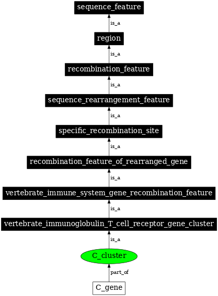 Graph image for SO:0000558