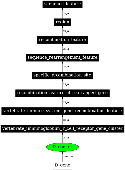 Graph image for SO:0000559