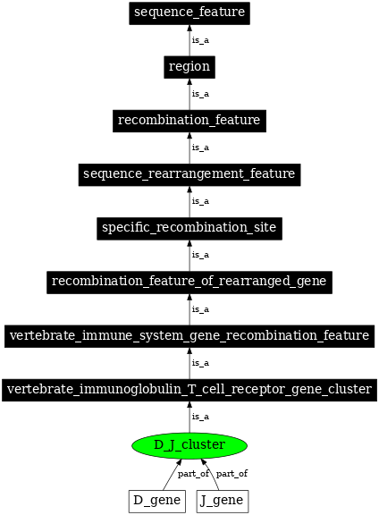 Graph image for SO:0000560