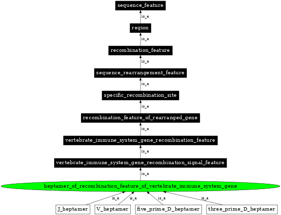 Graph image for SO:0000561