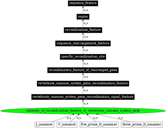 Graph image for SO:0000562