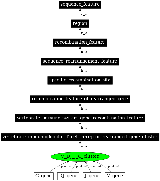 Graph image for SO:0000564