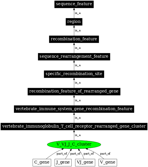 Graph image for SO:0000566