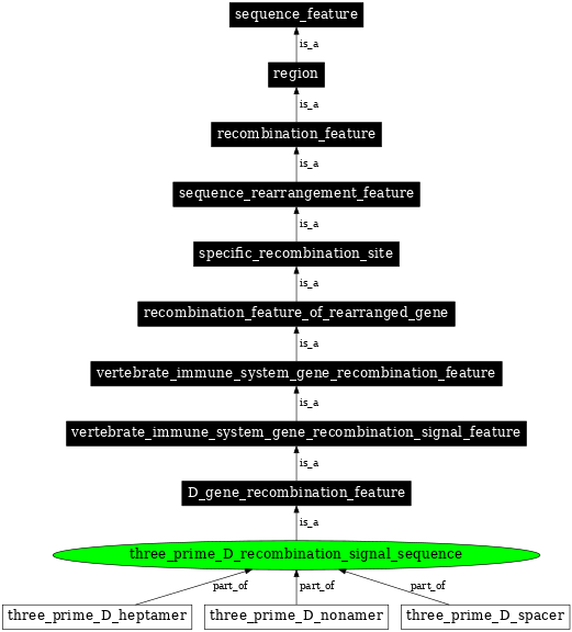 Graph image for SO:0000570