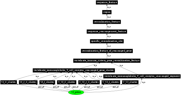 Graph image for SO:0000576