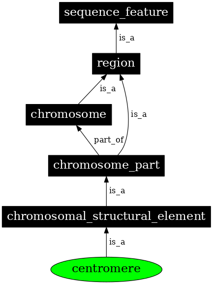 Graph image for SO:0000577