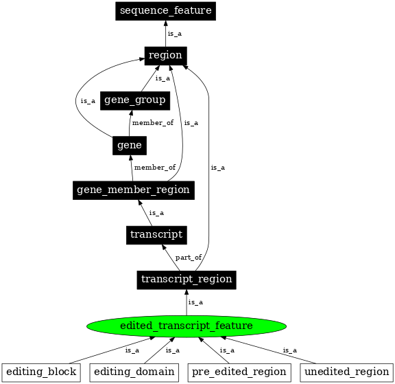 Graph image for SO:0000579