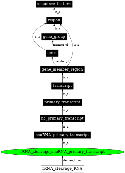 Graph image for SO:0000582
