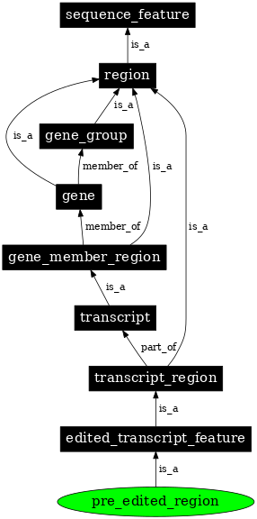 Graph image for SO:0000583