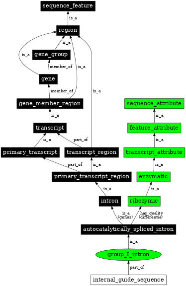Graph image for SO:0000587