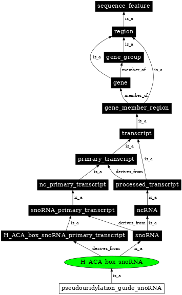 Graph image for SO:0000594