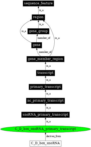 Graph image for SO:0000595